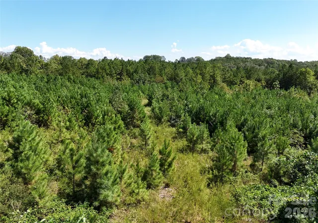 Photo 4 of Land for sale at 2125 Whiteside Rd, Mill Spring, NC 28756 | MLS# 4431764 | Listing updated on 2026-10-06