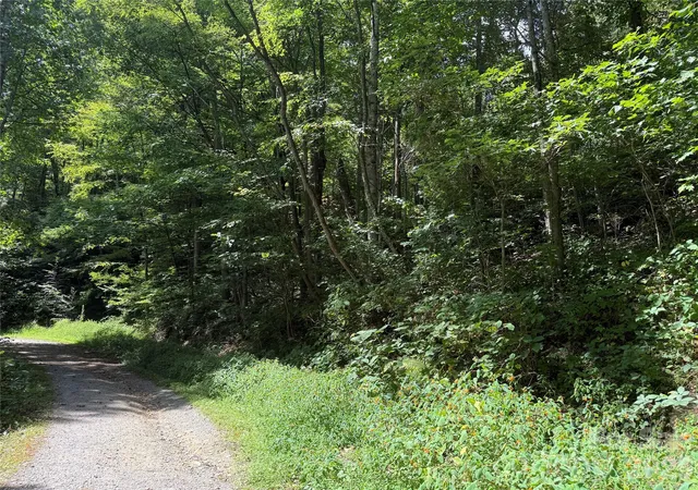 Photo 1 of Land for sale at 35 Chandra Ln, Clyde, NC 28721 | MLS# 4431780 | Listing updated on 2026-10-06