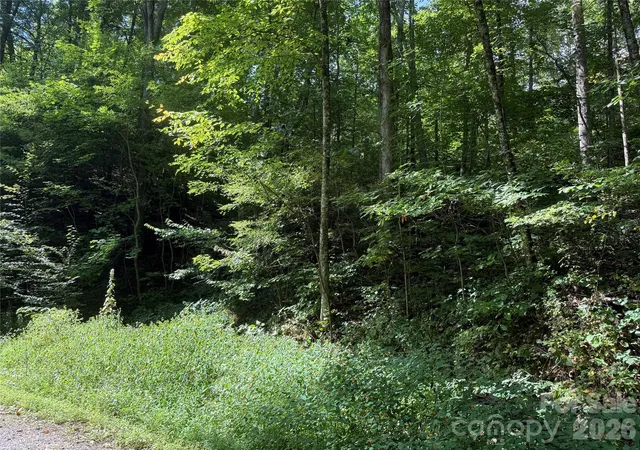 Photo 2 of Land for sale at 35 Chandra Ln, Clyde, NC 28721 | MLS# 4431780 | Listing updated on 2026-10-06