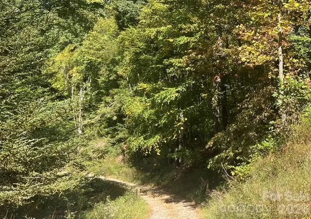 Photo 1 of Land for sale at 00 Gibson Branch Rd #7, Clyde, NC 28721 | MLS# 4431936 | Listing updated on 2026-10-06