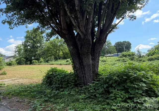 Photo 3 of Land for sale at 12 Alabama Ave, Marion, NC 28752 | MLS# 4432165 | Listing updated on 2026-10-09