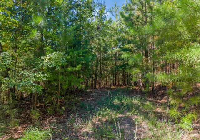 Photo 3 of Land for sale at 0 Westridge Dr #159, Bostic, NC 28018 | MLS# 4432268 | Listing updated on 2026-10-07