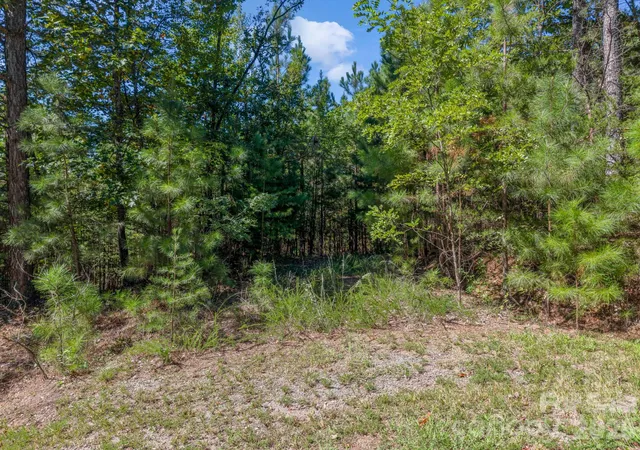 Photo 4 of Land for sale at 0 Westridge Dr #159, Bostic, NC 28018 | MLS# 4432268 | Listing updated on 2026-10-07