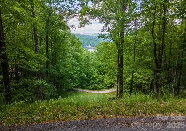 Photo 1 of Land for sale at Lt 10 Von Trapp Ln #10, Tuckasegee, NC 28783 | MLS# 4432274 | Listing updated on 2026-10-08
