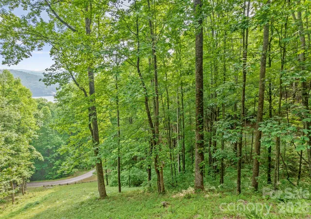 Photo 4 of Land for sale at Lt 10 Von Trapp Ln #10, Tuckasegee, NC 28783 | MLS# 4432274 | Listing updated on 2026-10-08
