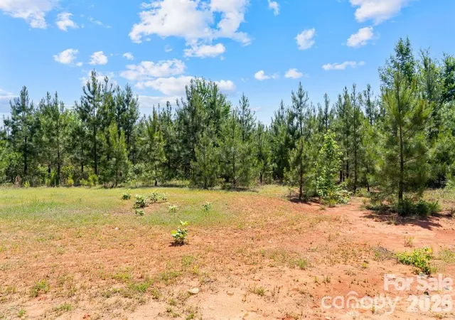 Photo 21 of Land for sale at 0000 Cool Branch Rd #6, Carlisle, SC 29706 | MLS# 4432288 | Listing updated on 2026-10-19