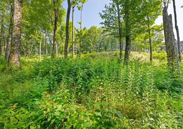 Photo 3 of Land for sale at 39 Skycamp Trl, Banner Elk, NC 28604 | MLS# 4432329 | Listing updated on 2026-10-07