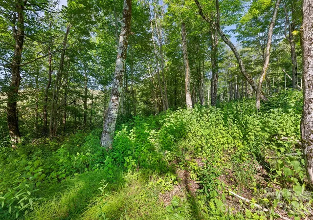 Photo 3 of Land for sale at 39 Skycamp Trl, Banner Elk, NC 28604 | MLS# 4432329 | Listing updated on 2026-10-07