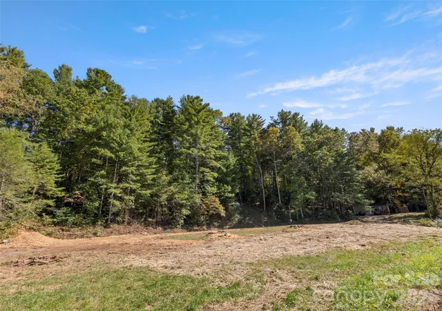 Photo 2 of Land for sale at 920 Mills Gap Rd, Fletcher, NC 28732 | MLS# 4432373 | Listing updated on 2026-10-09
