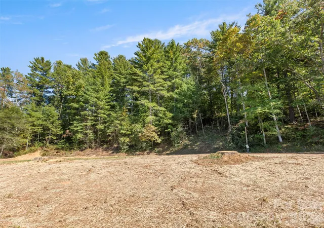 Photo 3 of Land for sale at 920 Mills Gap Rd, Fletcher, NC 28732 | MLS# 4432373 | Listing updated on 2026-10-09