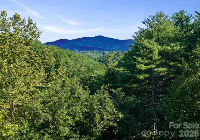Land for sale at Tbd Fog Holw Dr, Green Mountain, NC 28740 | MLS# 4432441