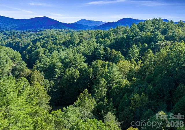 Photo 3 of Land for sale at Tbd Fog Holw Dr, Green Mountain, NC 28740 | MLS# 4432441 | Listing updated on 2026-10-07