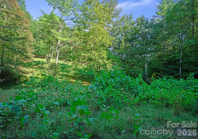Photo 4 of Land for sale at Tbd Fog Holw Dr, Green Mountain, NC 28740 | MLS# 4432441 | Listing updated on 2026-10-07