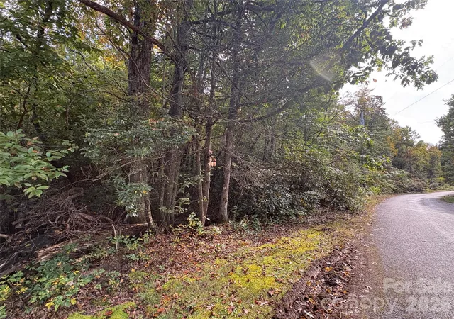 Photo 4 of Land for sale at 81 Bird Crk Ests Rd, Black Mountain, NC 28711 | MLS# 4432481 | Listing updated on 2026-10-07