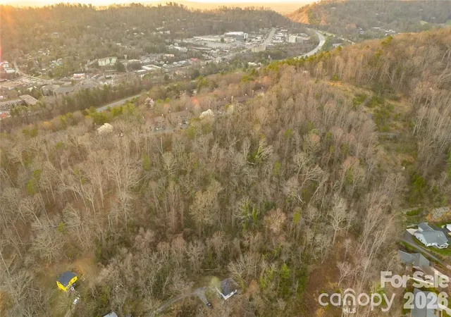 Photo 4 of Single family home for sale at 9999 Weaver Hl Rd, Asheville, NC 28805 | MLS# 4432501 | Listing updated on 2026-10-08