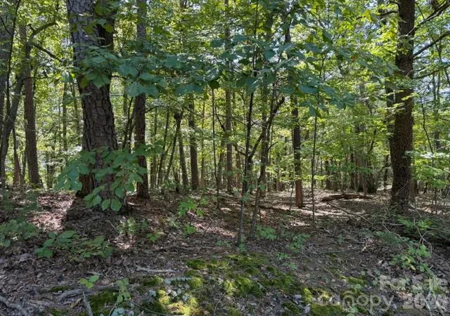Photo 1 of Land for sale at 00 Washington Ridge Rd, Statesville, NC 28677 | MLS# 4432508 | Listing updated on 2026-10-09