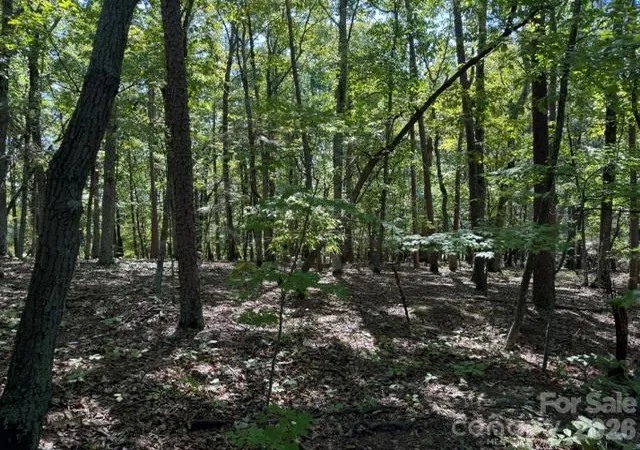 Photo 3 of Land for sale at 00 Washington Ridge Rd, Statesville, NC 28677 | MLS# 4432508 | Listing updated on 2026-10-09