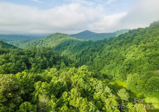 Land for sale at 99999 Renfro Rd, Green Mountain, NC 28740 | MLS# 4432540