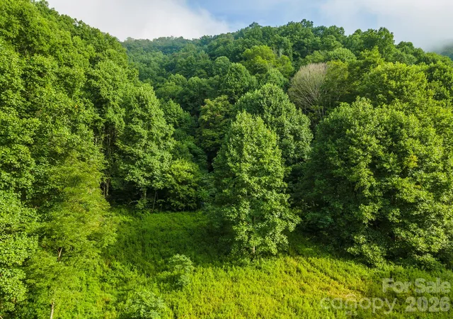 Photo 1 of Land for sale at 99999 Renfro Rd, Green Mountain, NC 28740 | MLS# 4432540 | Listing updated on 2026-10-07