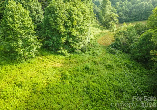 Photo 2 of Land for sale at 99999 Renfro Rd, Green Mountain, NC 28740 | MLS# 4432540 | Listing updated on 2026-10-07