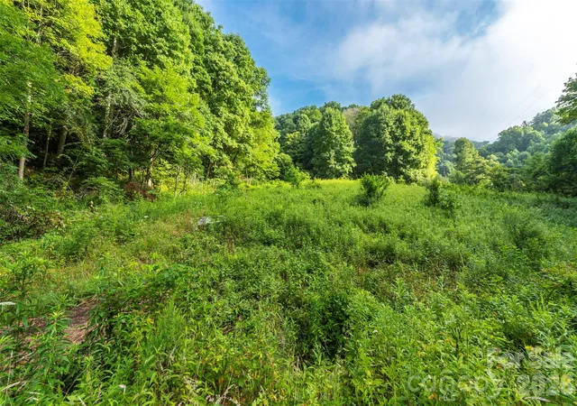 Photo 4 of Land for sale at 99999 Renfro Rd, Green Mountain, NC 28740 | MLS# 4432540 | Listing updated on 2026-10-07