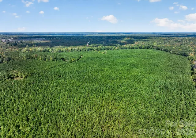 Photo 2 of Land for sale at 0000 Narrow Brg Rd #3, Chester, SC 29706 | MLS# 4432673 | Listing updated on 2026-10-08