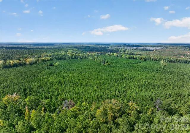 Photo 3 of Land for sale at 0000 Narrow Brg Rd #3, Chester, SC 29706 | MLS# 4432673 | Listing updated on 2026-10-08