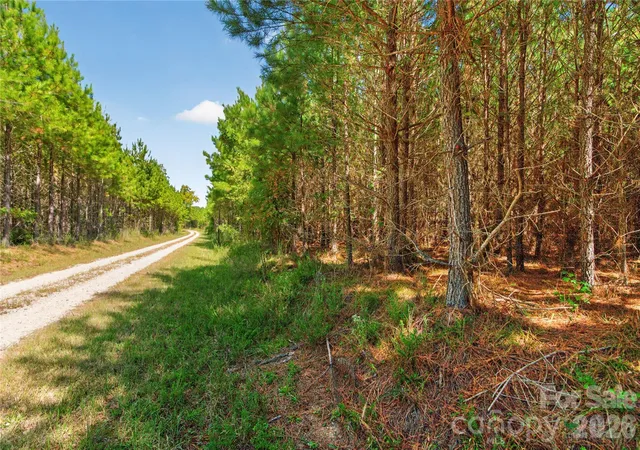 Photo 3 of Land for sale at 0000 Narrow Brg Rd #3, Chester, SC 29706 | MLS# 4432673 | Listing updated on 2026-10-08