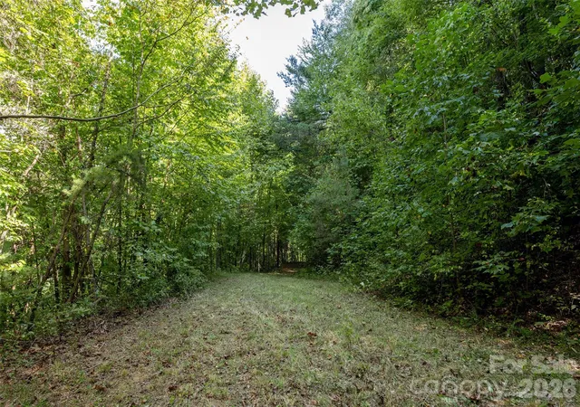 Land for sale at 00 Newfound Rd, Leicester, NC 28748 | MLS# 4432713