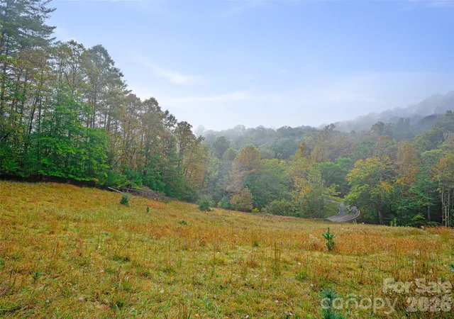 Photo 1 of Land for sale at 000 Double Is Rd, Burnsville, NC 28714 | MLS# 4432810 | Listing updated on 2026-10-09