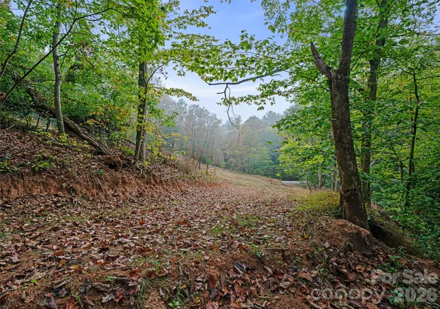 Photo 3 of Land for sale at 000 Double Is Rd, Burnsville, NC 28714 | MLS# 4432810 | Listing updated on 2026-10-09