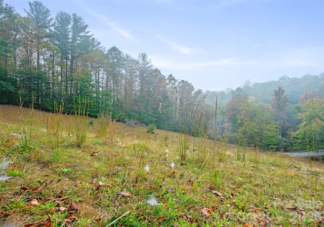 Photo 3 of Land for sale at 000 Double Is Rd, Burnsville, NC 28714 | MLS# 4432810 | Listing updated on 2026-10-09