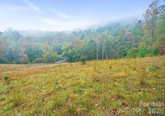 Photo 4 of Land for sale at 000 Double Is Rd, Burnsville, NC 28714 | MLS# 4432810 | Listing updated on 2026-10-09