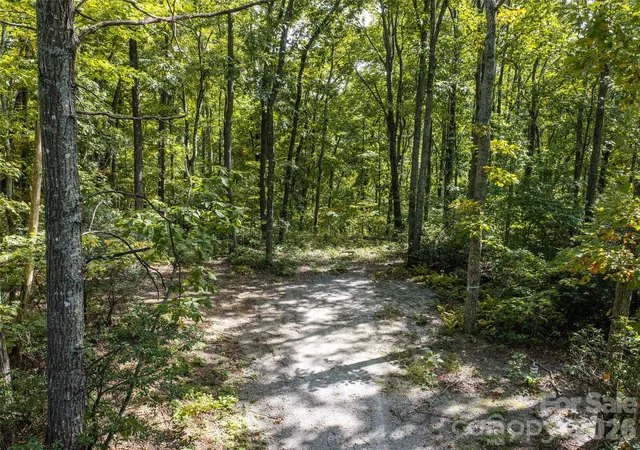 Photo 3 of Land for sale at Tbd Orange Plum Ln #4, Asheville, NC 28803 | MLS# 4432824 | Listing updated on 2026-10-10