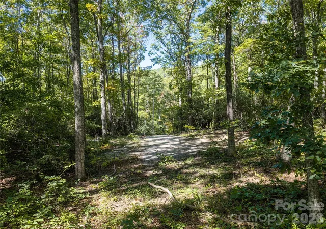 Photo 4 of Land for sale at Tbd Orange Plum Ln #4, Asheville, NC 28803 | MLS# 4432824 | Listing updated on 2026-10-10