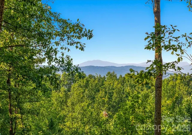 Photo 1 of Land for sale at 149 + 207 Mossy Oak Trl, Nebo, NC 28761 | MLS# 4432833 | Listing updated on 2026-10-08