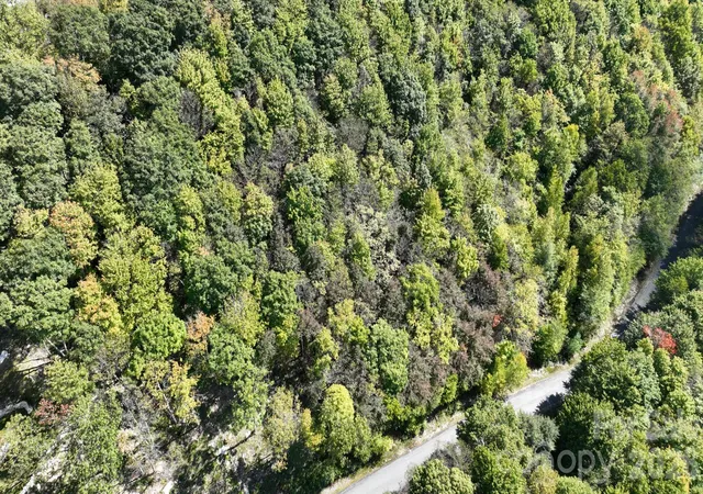 Photo 3 of Land for sale at Lot 8 S View Trl #8, Banner Elk, NC 28604 | MLS# 4432850 | Listing updated on 2026-10-08