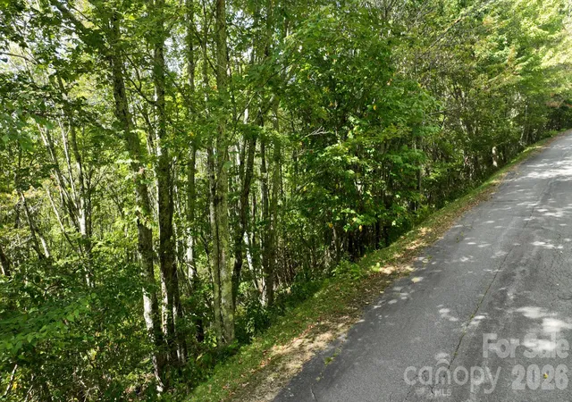 Photo 2 of Land for sale at Lot 1 S View Trl #1, Banner Elk, NC 28604 | MLS# 4432892 | Listing updated on 2026-10-08