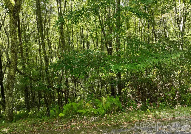 Photo 3 of Land for sale at Lot 1 S View Trl #1, Banner Elk, NC 28604 | MLS# 4432892 | Listing updated on 2026-10-08