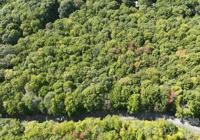 Photo 4 of Land for sale at Lot 1 S View Trl #1, Banner Elk, NC 28604 | MLS# 4432892 | Listing updated on 2026-10-08