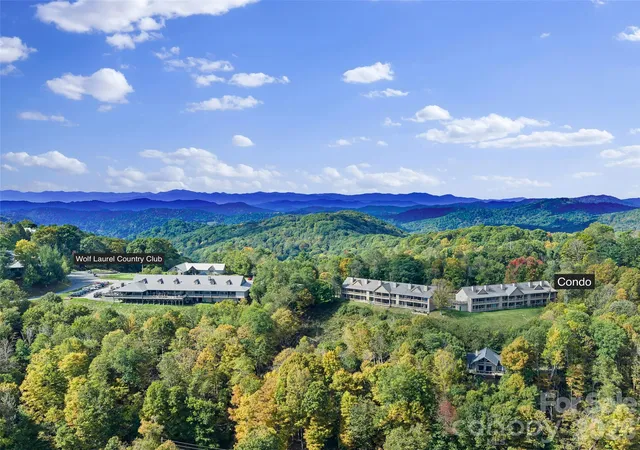 Listing Photo 4 - Condo for sale in building located at 2521 Wolf Laurel Rd, Mars Hill, NC 28754 - Unit #101
