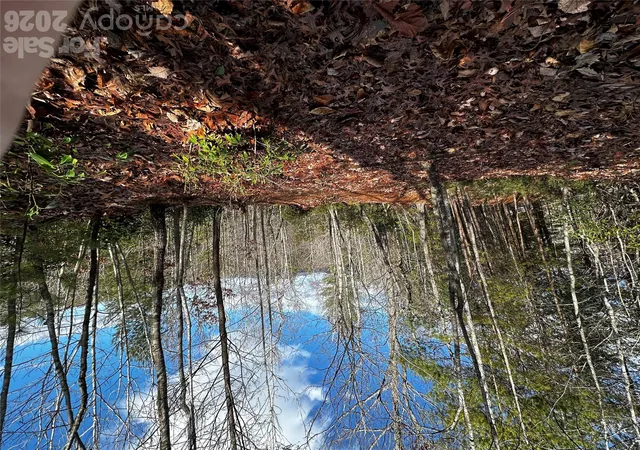 Photo 3 of Land for sale at 54 Winghaven Dr #41, Nebo, NC 28761 | MLS# 4432929 | Listing updated on 2026-10-09