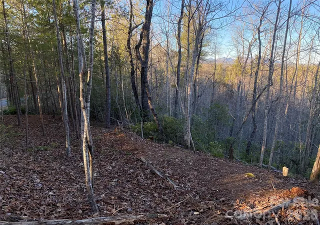 Photo 4 of Land for sale at 54 Winghaven Dr #41, Nebo, NC 28761 | MLS# 4432929 | Listing updated on 2026-10-09