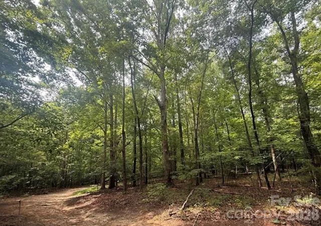Photo 4 of Land for sale at 0 S Lineberry St #A,B,C, Troy, NC 27371 | MLS# 4432964 | Listing updated on 2026-10-09