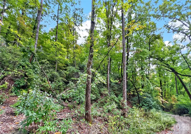 Photo 3 of Land for sale at 999 Rhododendron Dr #743, Old Fort, NC 28762 | MLS# 4433218 | Listing updated on 2026-10-09