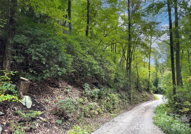 Photo 4 of Land for sale at 999 Rhododendron Dr #743, Old Fort, NC 28762 | MLS# 4433218 | Listing updated on 2026-10-09