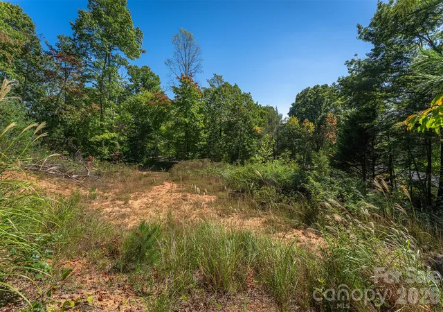 Photo 3 of Land for sale at 21 W Keesler St, Black Mountain, NC 28711 | MLS# 4433283 | Listing updated on 2026-10-09