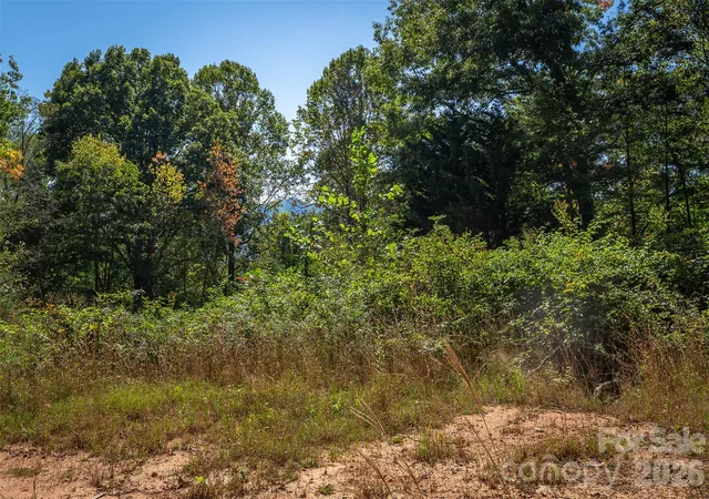 Photo 4 of Land for sale at 21 W Keesler St, Black Mountain, NC 28711 | MLS# 4433283 | Listing updated on 2026-10-09