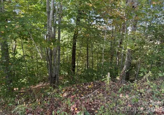Photo 2 of Land for sale at 50 Scenic Wolf Ridge Rd, Mars Hill, NC 28754 | MLS# 4433342 | Listing updated on 2026-10-09