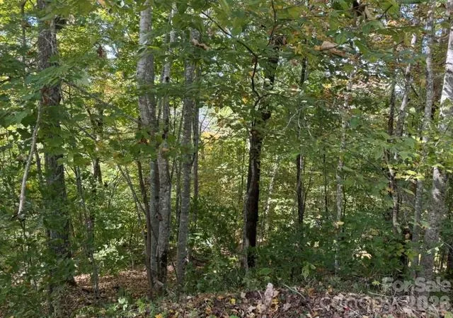 Photo 3 of Land for sale at 50 Scenic Wolf Ridge Rd, Mars Hill, NC 28754 | MLS# 4433342 | Listing updated on 2026-10-09